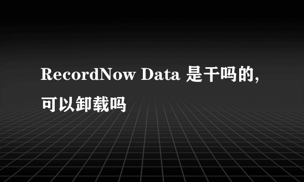 RecordNow Data 是干吗的,可以卸载吗
