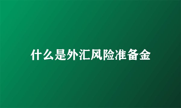 什么是外汇风险准备金