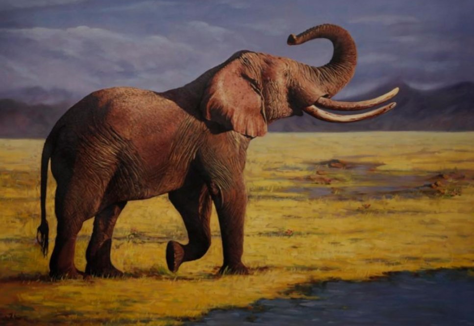 “大象”怎么读?