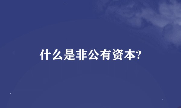 什么是非公有资本?