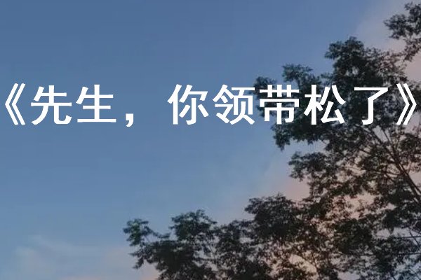 男主角是律师的全部小说