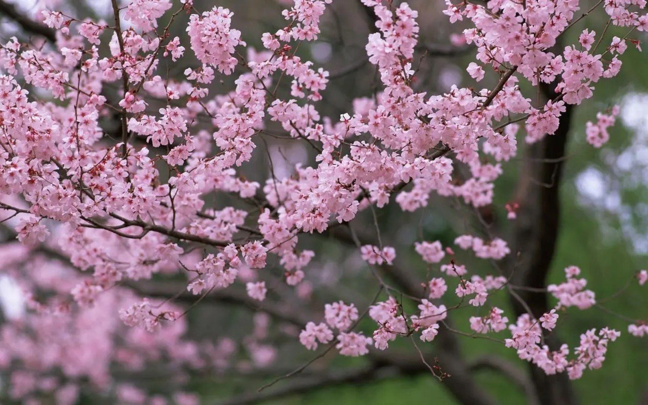 红粉知己的意思