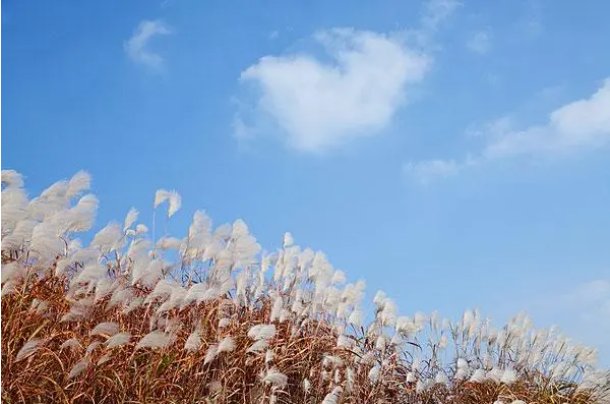 breeze是什么意思？