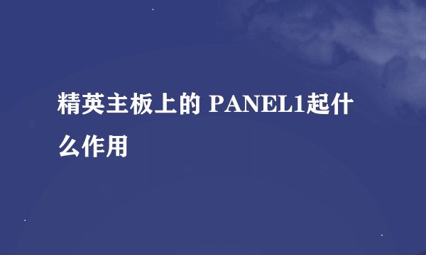 精英主板上的 PANEL1起什么作用