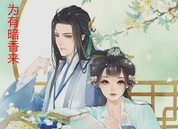 华浅仲夜阑小说结局