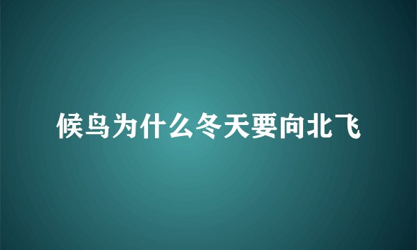 候鸟为什么冬天要向北飞