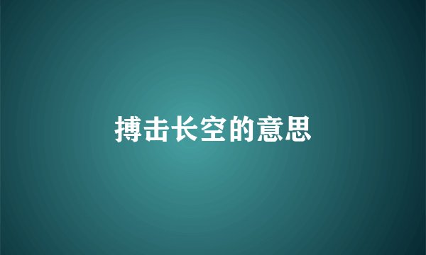搏击长空的意思
