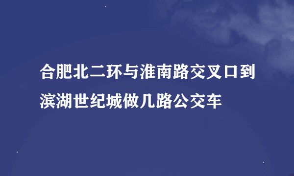 合肥北二环与淮南路交叉口到滨湖世纪城做几路公交车