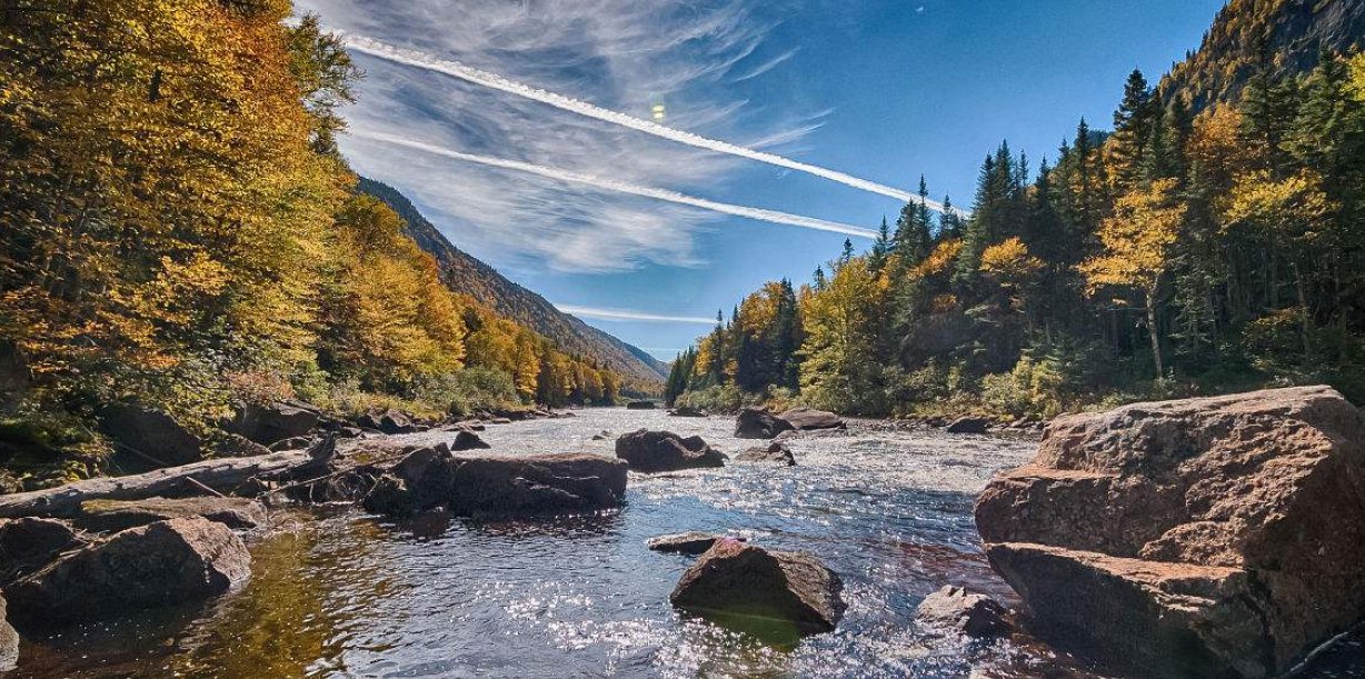 飞花两岸照船红百里榆堤半日风卧看满天云动不不知云与我俱东是什么意思