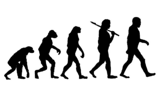 生物进化的标志是什么?