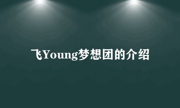 飞Young梦想团的介绍