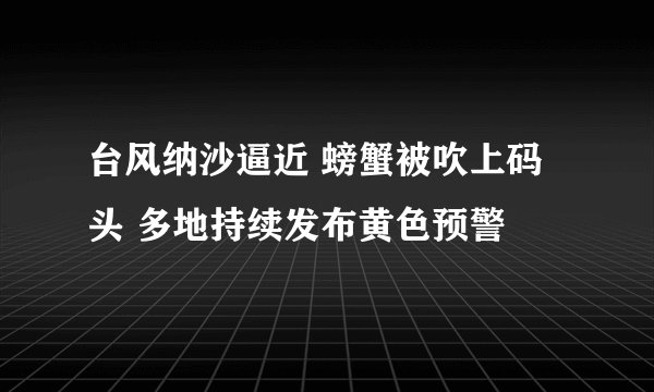 台风纳沙逼近 螃蟹被吹上码头 多地持续发布黄色预警