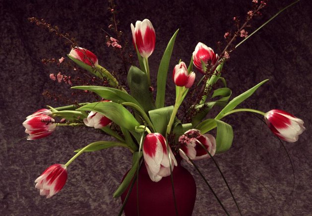 什么的鲜花填形容词