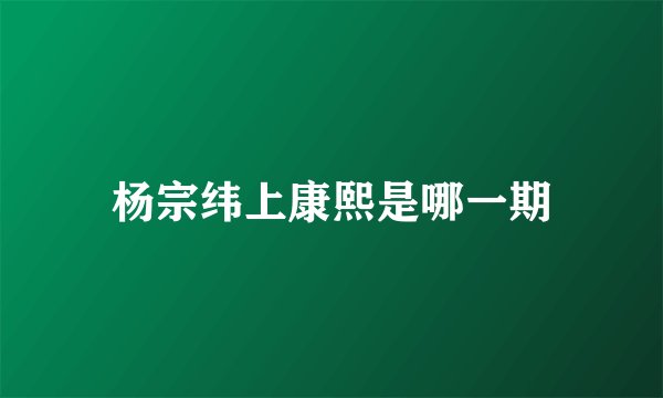 杨宗纬上康熙是哪一期