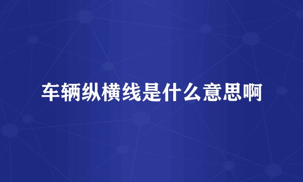 车辆纵横线是什么意思啊