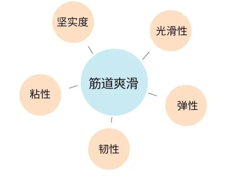 筋道与劲道的意思