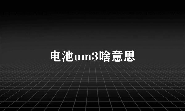 电池um3啥意思