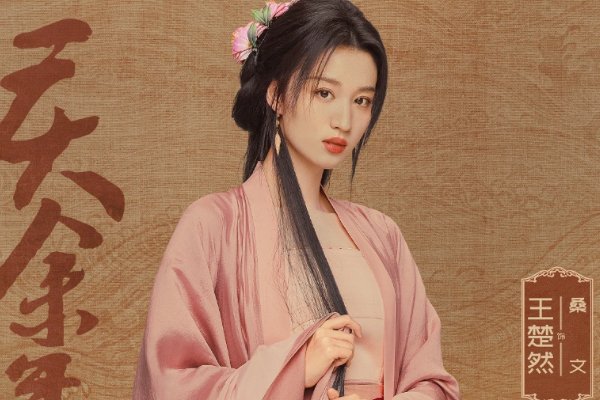 王楚然演过的电视剧