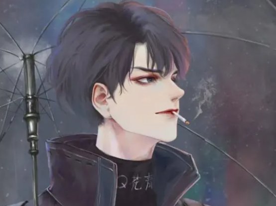 重生文小红书推荐