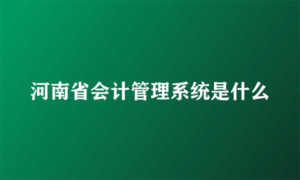 河南省会计管理系统是什么