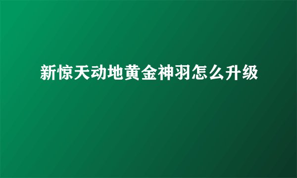 新惊天动地黄金神羽怎么升级