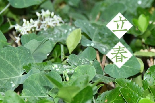 打春前后有什么禁忌和说法