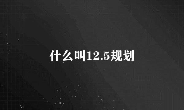 什么叫12.5规划
