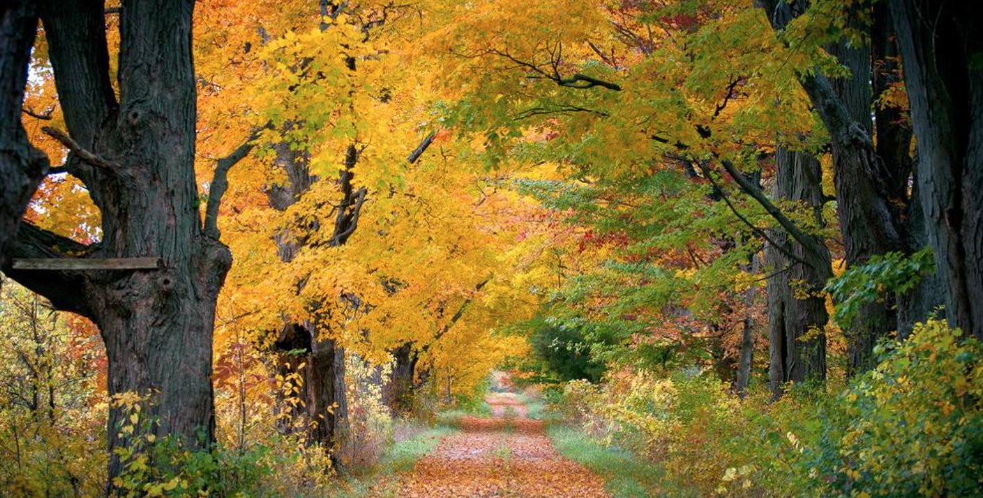 山林之王告诉我们什么道理？