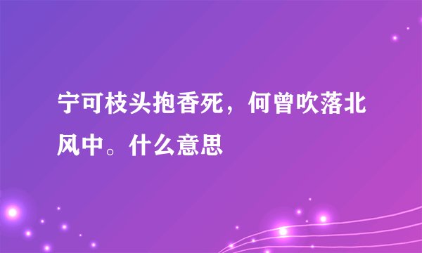 宁可枝头抱香死，何曾吹落北风中。什么意思