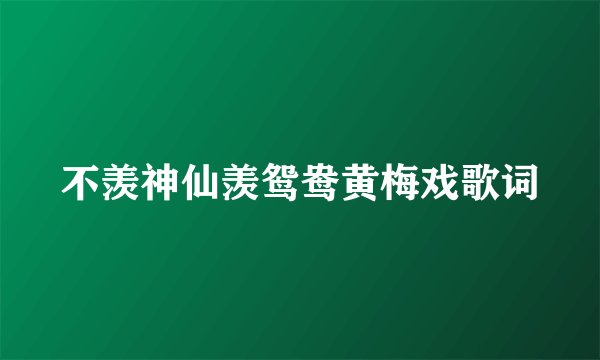 不羡神仙羡鸳鸯黄梅戏歌词