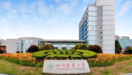 最低211大学分数线