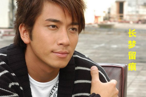 吴卓羲主演的全部电视剧