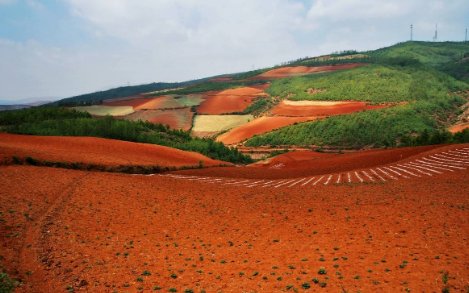 redearth这个是什么意思
