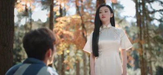 电视剧《司藤》中半妖司藤的孩子是谁的