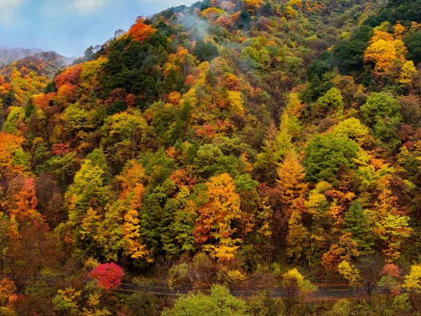 光雾山风景区最佳时间