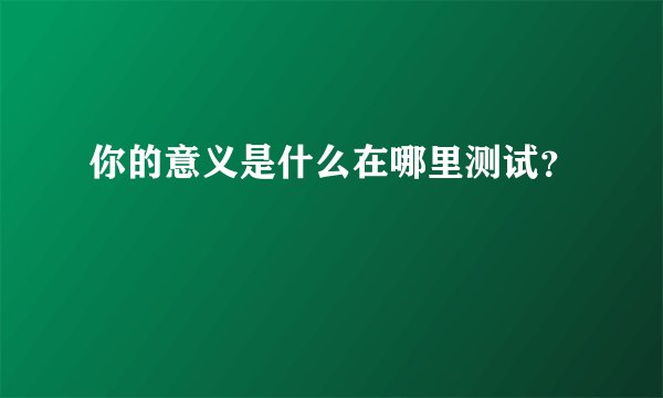 你的意义是什么在哪里测试？