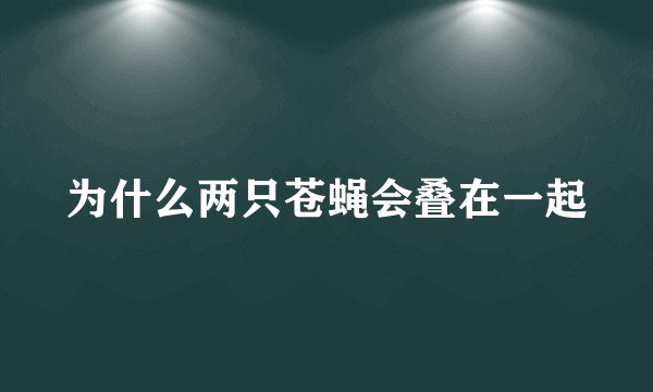 为什么两只苍蝇会叠在一起