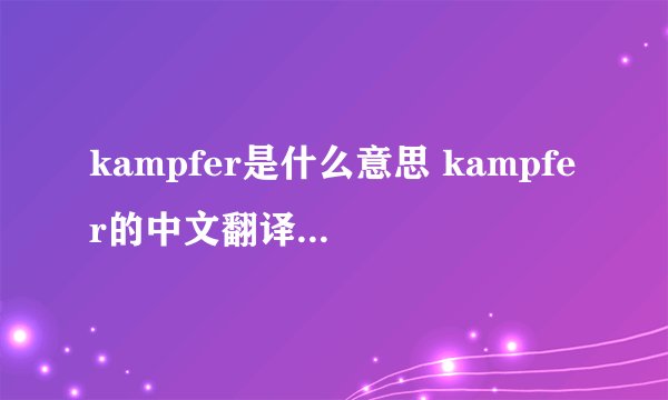 kampfer是什么意思 kampfer的中文翻译、读音、例句