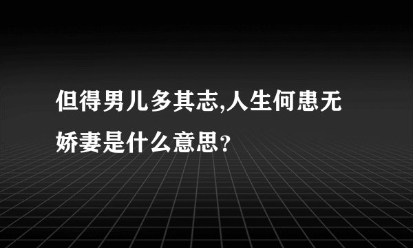 但得男儿多其志,人生何患无娇妻是什么意思？
