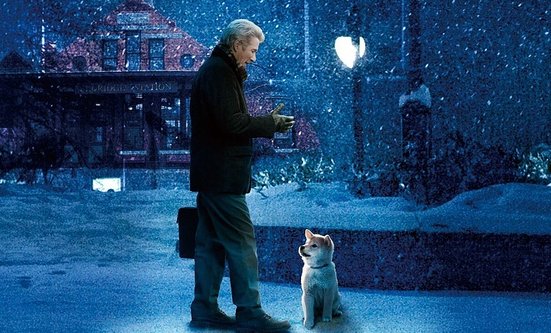 hachi是什么意思？