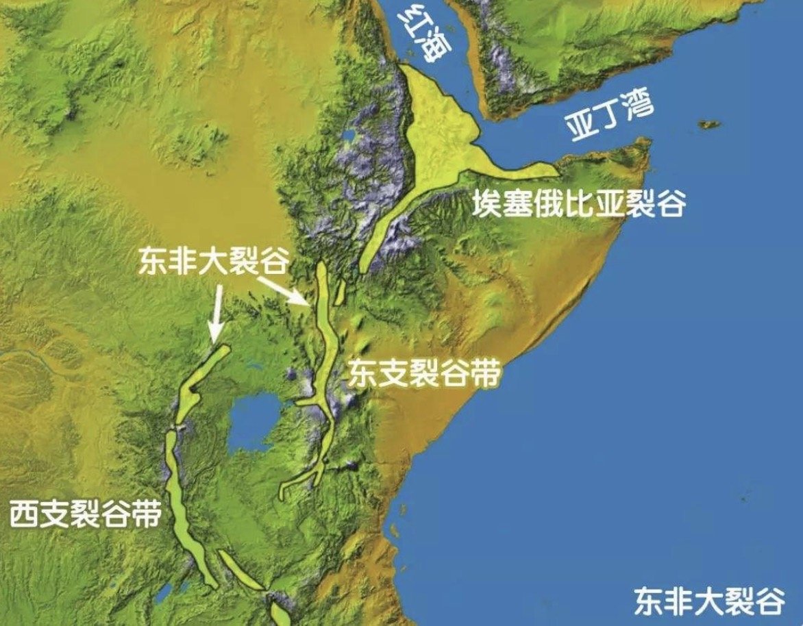 东非大裂谷是由哪两个板块张裂运动而形成的（　　）A．太平洋板块和亚欧板块B．亚欧板块和非洲板块C．非