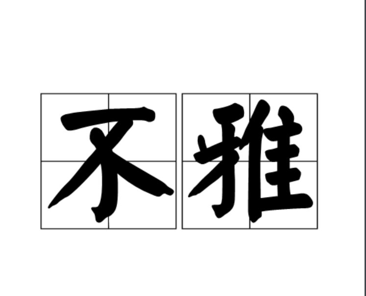 不雅是什么意思