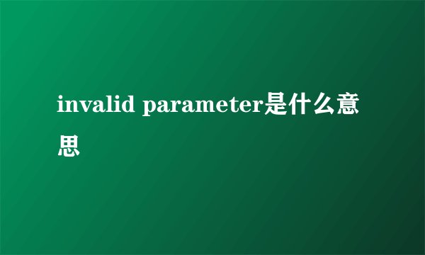 invalid parameter是什么意思