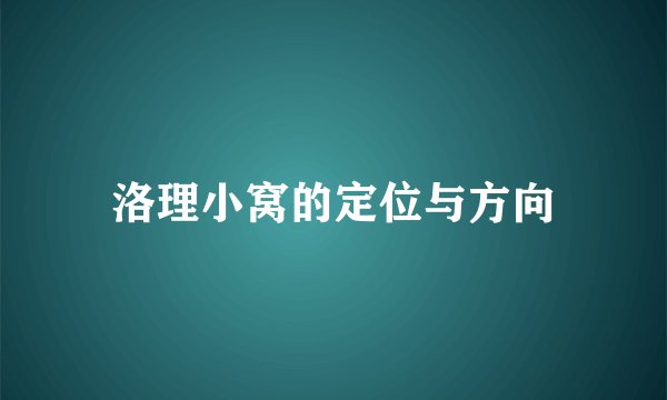 洛理小窝的定位与方向