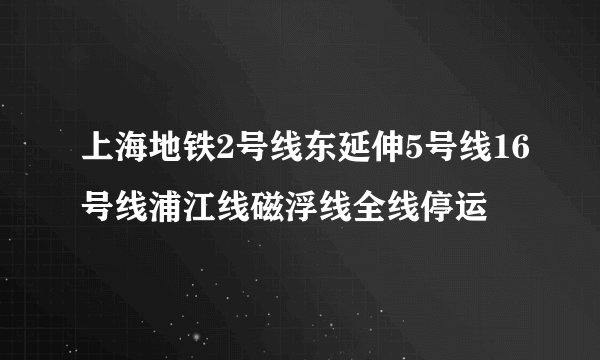 上海地铁2号线东延伸5号线16号线浦江线磁浮线全线停运