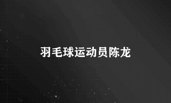 羽毛球运动员陈龙