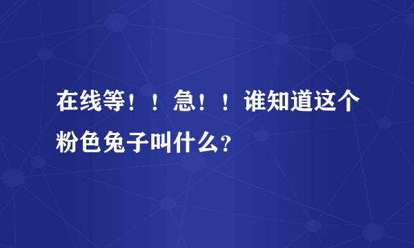 在线等！！急！！谁知道这个粉色兔子叫什么？