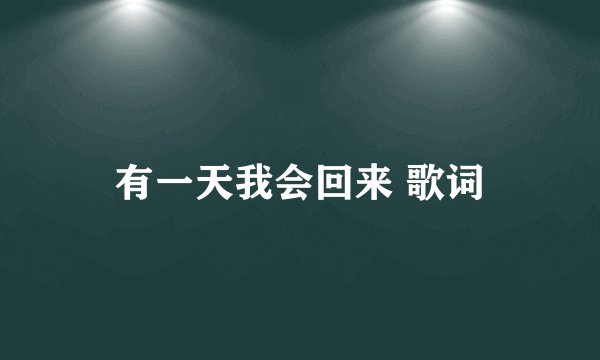 有一天我会回来 歌词