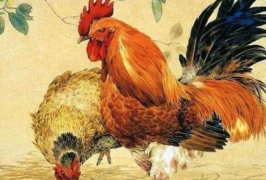 避其锐气动物生肖