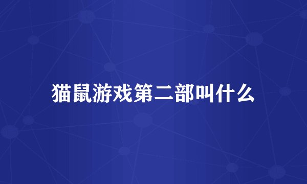 猫鼠游戏第二部叫什么